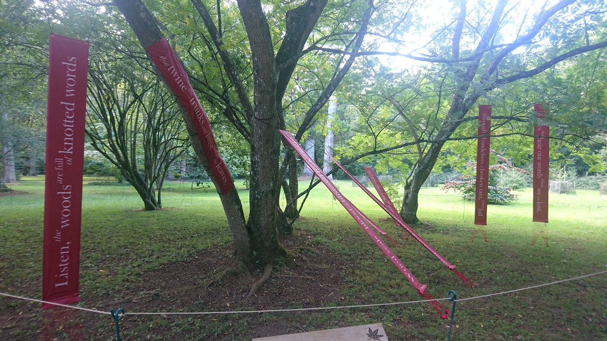 Photo showing the poem 'Hear This' installed in a group of four wingnut trees.