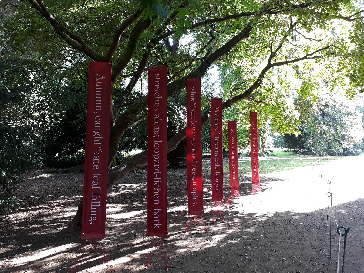 Photo showing the poem 'September Slows' displayed in a Japanese maple. The six banners hang vertically from the boughs.