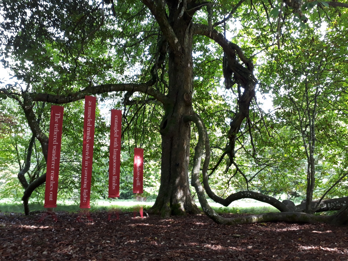 Photo of the first stanza of 'Tanglefoot' installed along one large limb of the horse chestnut tree.